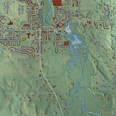 Close-up of the map of Thornapple, Michigan print showing street and building detail