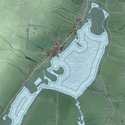 Close-up of the map of Torch Lake, Houghton County, Michigan print showing street and building detail