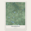 Trowbridge, Michigan map print, the full design