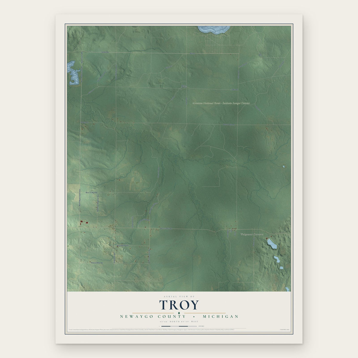 Troy, Newaygo County, Michigan map print, the full design