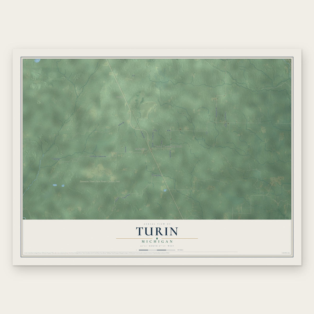 Turin, Michigan map print, the full design
