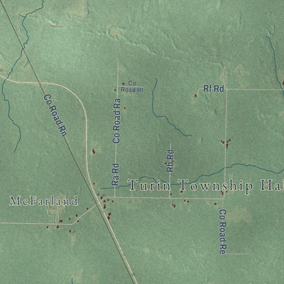 Close-up of the map of Turin, Michigan print showing street and building detail