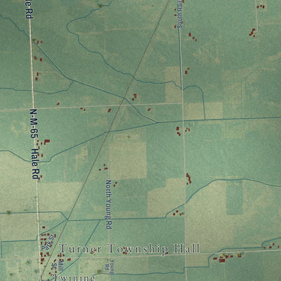 Close-up of the map of Turner, Arenac County, Michigan print showing street and building detail