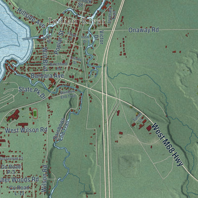 Close-up of the map of Tuscarora, Michigan print showing street and building detail
