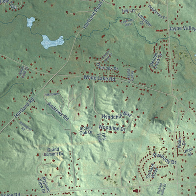 Close-up of the map of Tyrone, Livingston County, Michigan print showing street and building detail