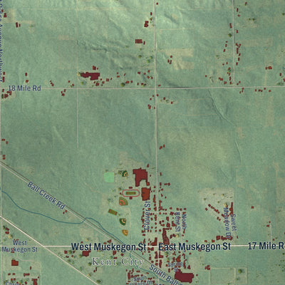 Close-up of the map of Tyrone, Kent County, Michigan print showing street and building detail