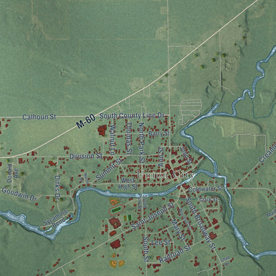 Close-up of the map of Union, Branch County, Michigan print showing street and building detail