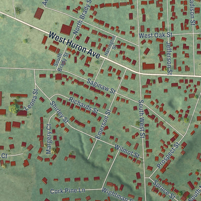 Close-up of the map of Vassar, Michigan print showing street and building detail