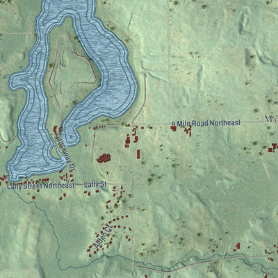 Close-up of the map of Vergennes, Michigan print showing street and building detail