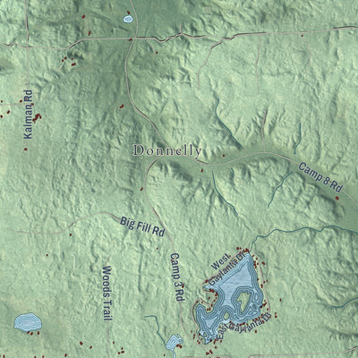 Close-up of the map of Vienna, Montmorency County, Michigan print showing street and building detail