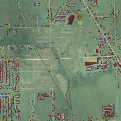 Close-up of the map of Vienna, Genesee County, Michigan print showing street and building detail