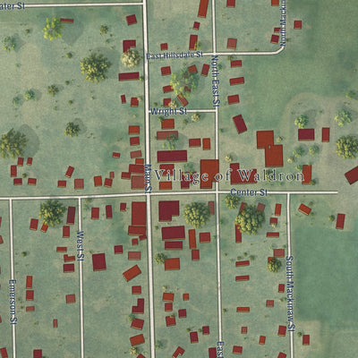 Close-up of the map of Waldron, Michigan print showing street and building detail