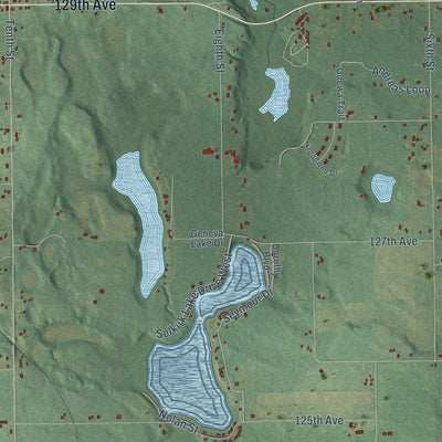 Close-up of the map of Wayland, Allegan County, Michigan print showing street and building detail