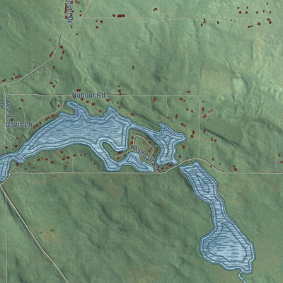 Close-up of the map of Wayne, Cass County, Michigan print showing street and building detail