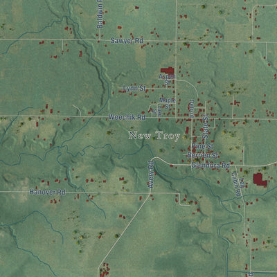 Close-up of the map of Weesaw, Michigan print showing street and building detail