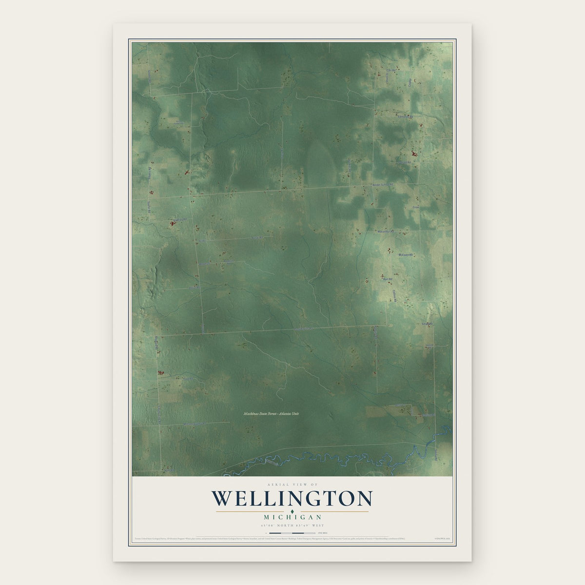 Wellington, Michigan map print, the full design