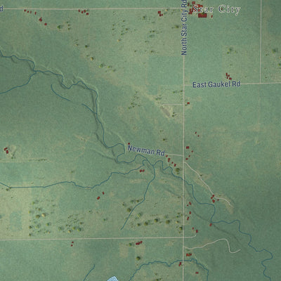 Close-up of the map of West Branch, Missaukee County, Michigan print showing street and building detail