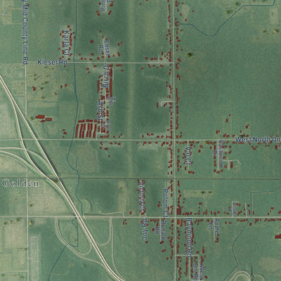 Close-up of the map of Williams, Michigan print showing street and building detail