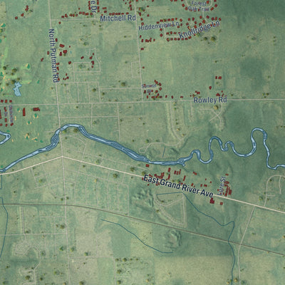 Close-up of the map of Williamstown, Michigan print showing street and building detail
