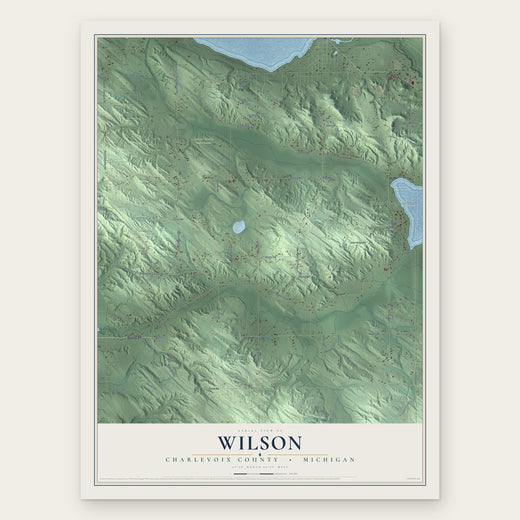 Wilson, Charlevoix County, Michigan map print, the full design