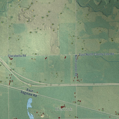 Close-up of the map of Wise, Michigan print showing street and building detail