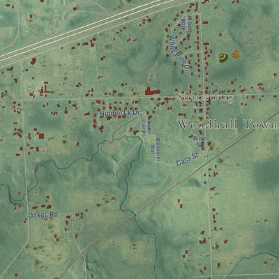 Close-up of the map of Woodhull, Michigan print showing street and building detail