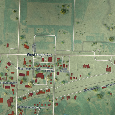 Second close-up of the map of Appleton, Minnesota print showing more streets and buildings