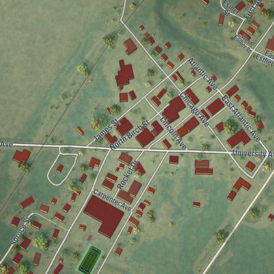 Close-up of the map of Badger, Minnesota print showing street and building detail
