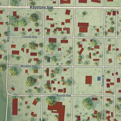 Close-up of the map of Beardsley, Minnesota print showing street and building detail