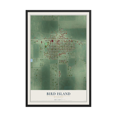 Map of Bird Island, Minnesota, 12 x 18 inch print in a black wood frame