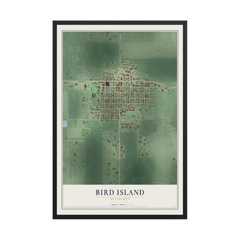 Map of Bird Island, Minnesota, 12 x 18 inch print in a black wood frame