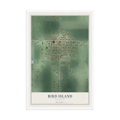 Map of Bird Island, Minnesota, 12 x 18 inch print in a white wood frame