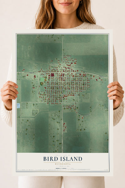 Map of Bird Island, Minnesota, 18 x 24 inch unframed archival matte print