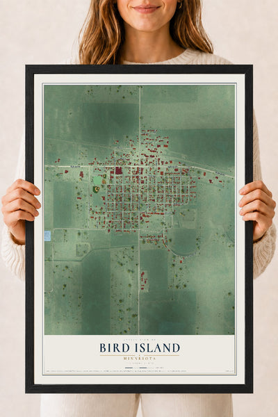 Map of Bird Island, Minnesota, 18 x 24 inch print in a black wood frame