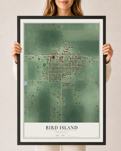 Map of Bird Island, Minnesota, 24 x 36 inch print in a black wood frame