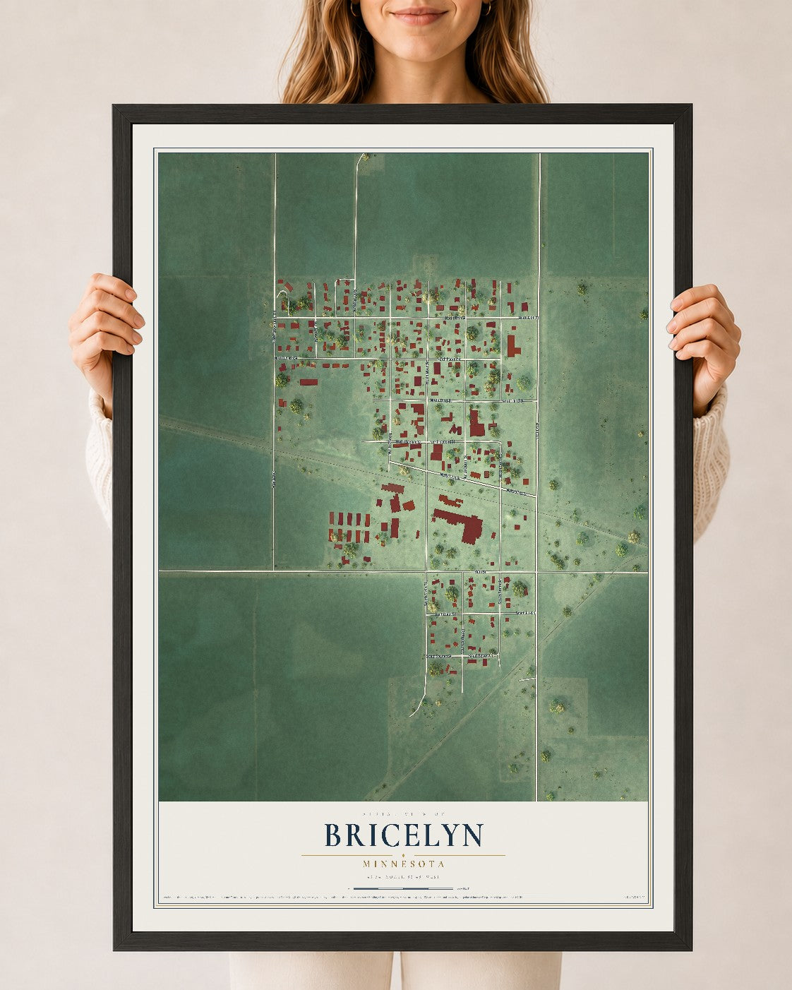 Map of Bricelyn, Minnesota, 24 x 36 inch print in a black wood frame