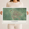 Map of Caledonia, Minnesota, 12 x 18 inch unframed archival matte print
