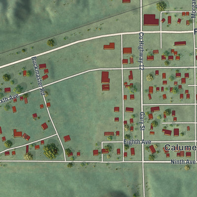 Close-up of the map of Calumet, Minnesota print showing street and building detail