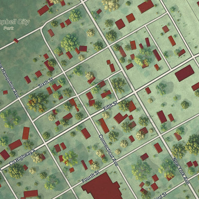Close-up of the map of Campbell, Minnesota print showing street and building detail