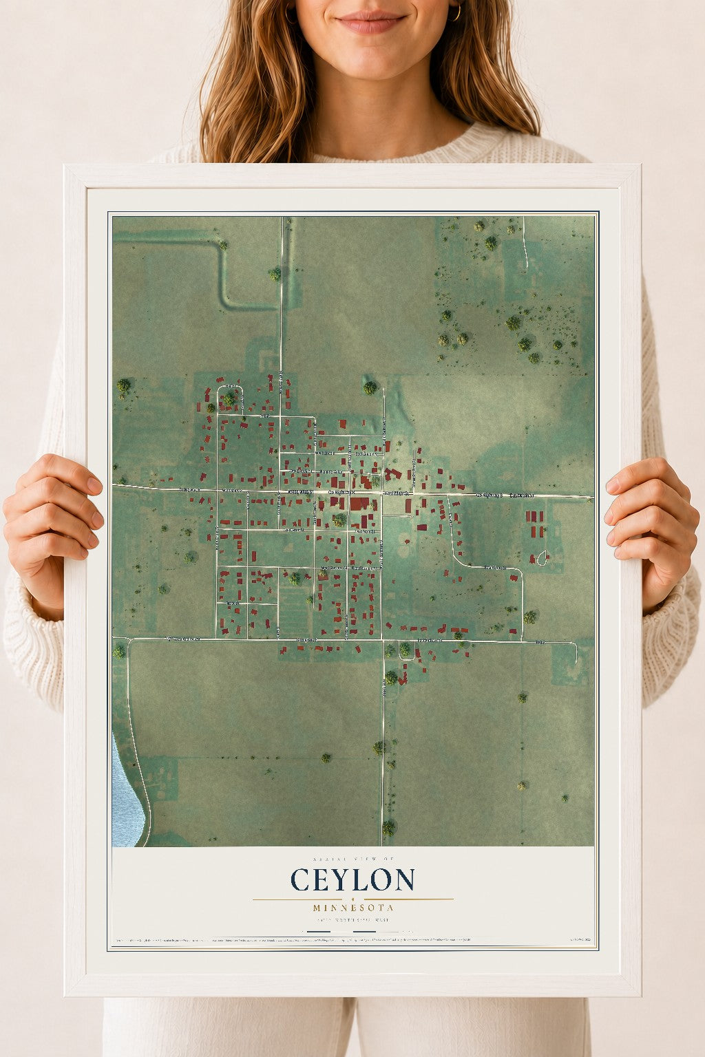 Map of Ceylon, Minnesota, 18 x 24 inch print in a white wood frame