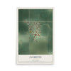 Map of Clements, Minnesota, 12 x 18 inch unframed archival matte print