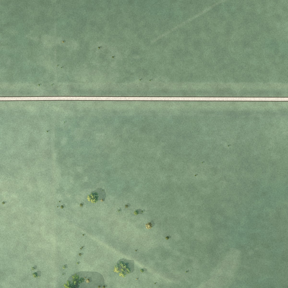 Second close-up of the map of Cobden, Minnesota print showing more streets and buildings