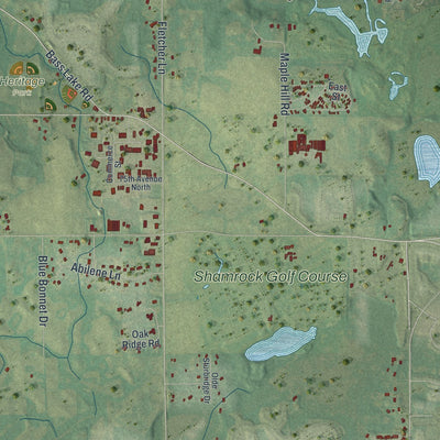 Close-up of the map of Corcoran, Minnesota print showing street and building detail