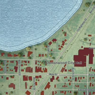 Close-up of the map of Cottonwood, Minnesota print showing street and building detail