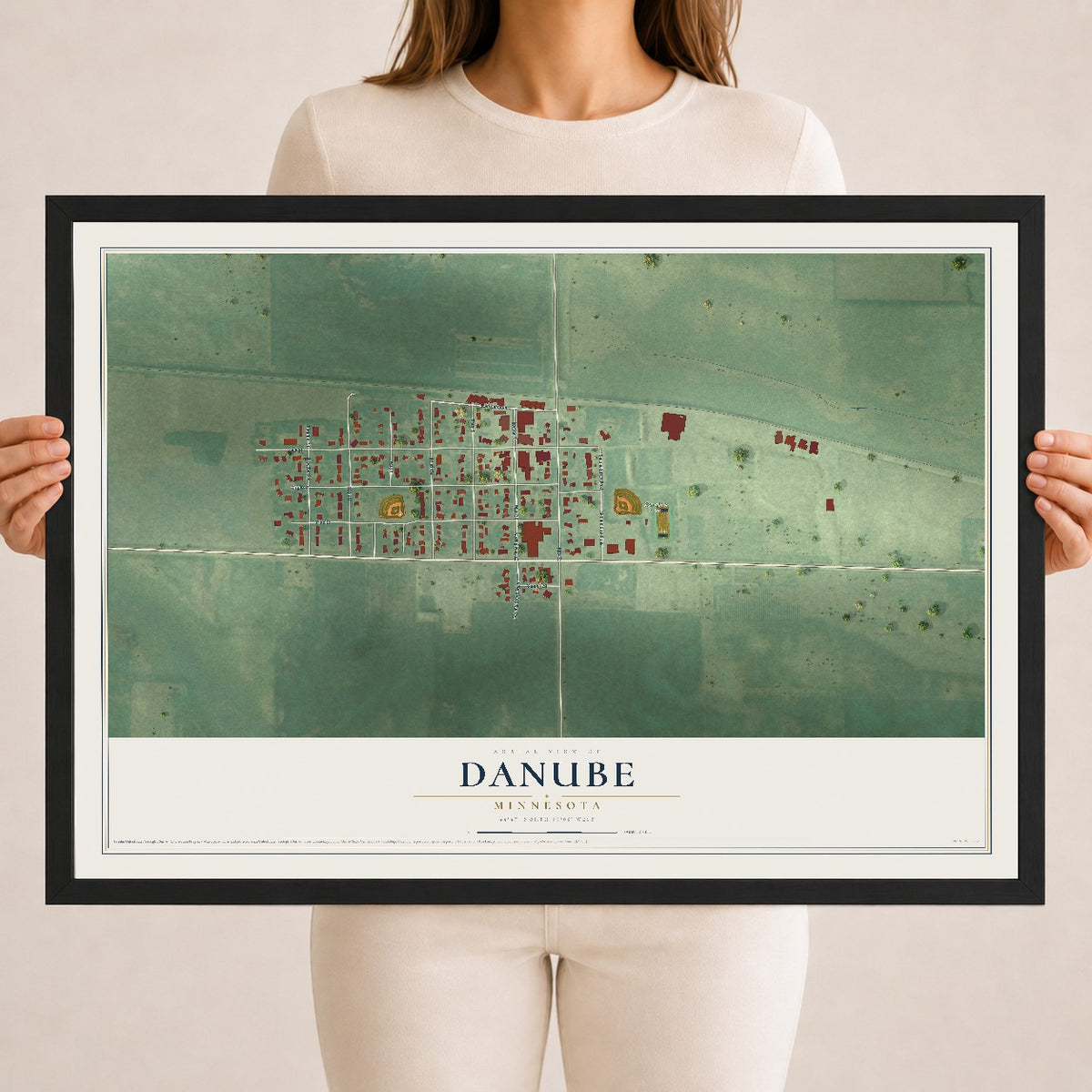 Map of Danube, Minnesota, 18 x 24 inch print in a black wood frame