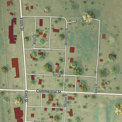 Close-up of the map of Donaldson, Minnesota print showing street and building detail