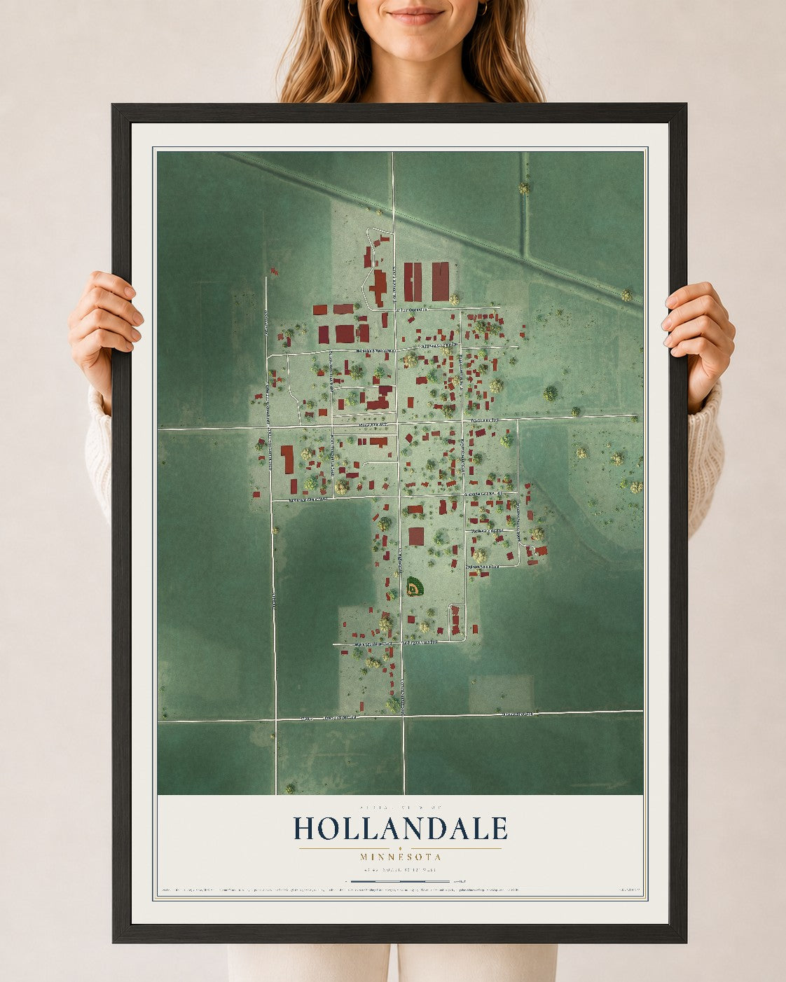 Map of Hollandale, Minnesota, 24 x 36 inch print in a black wood frame