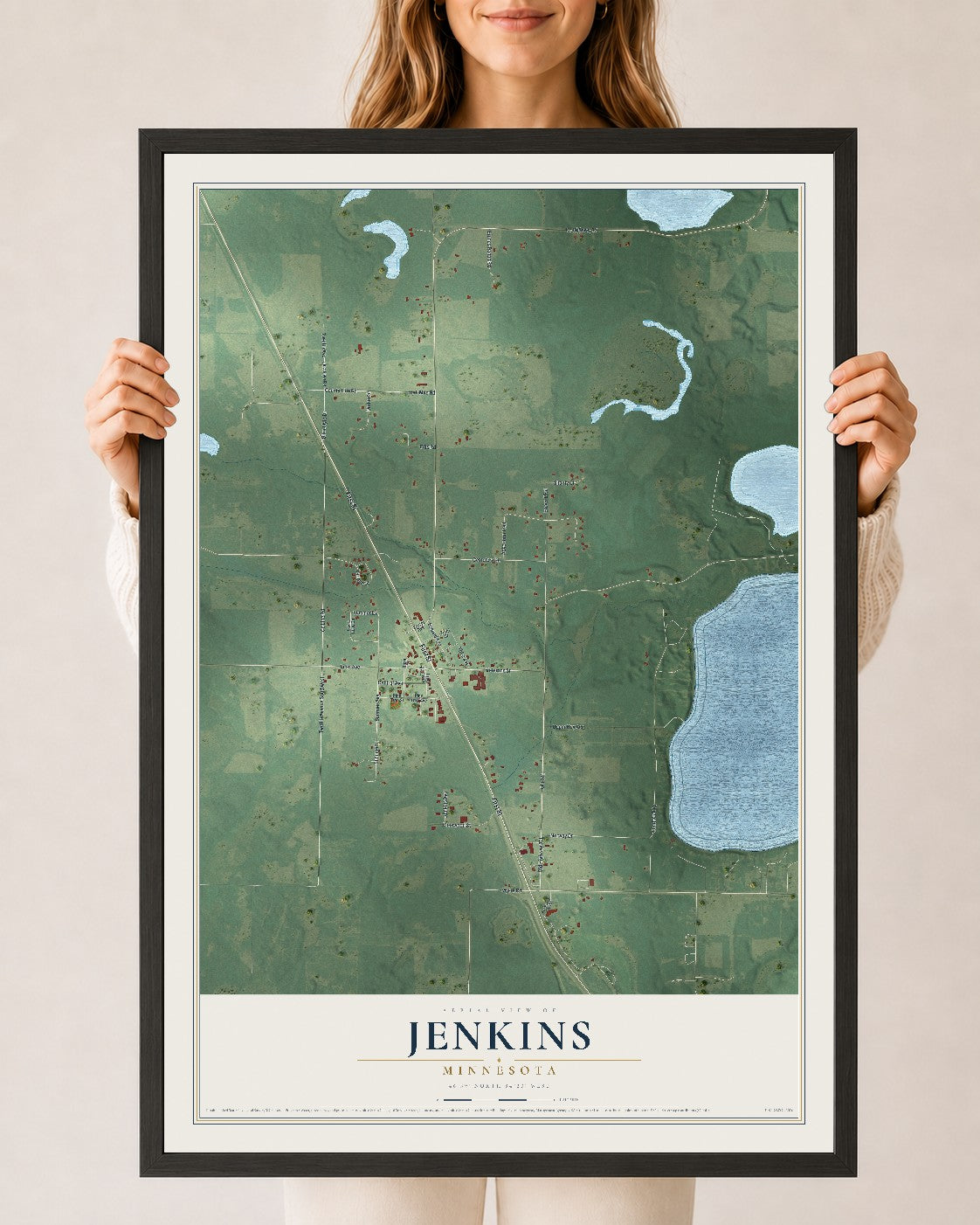 Map of Jenkins, Minnesota, 24 x 36 inch print in a black wood frame