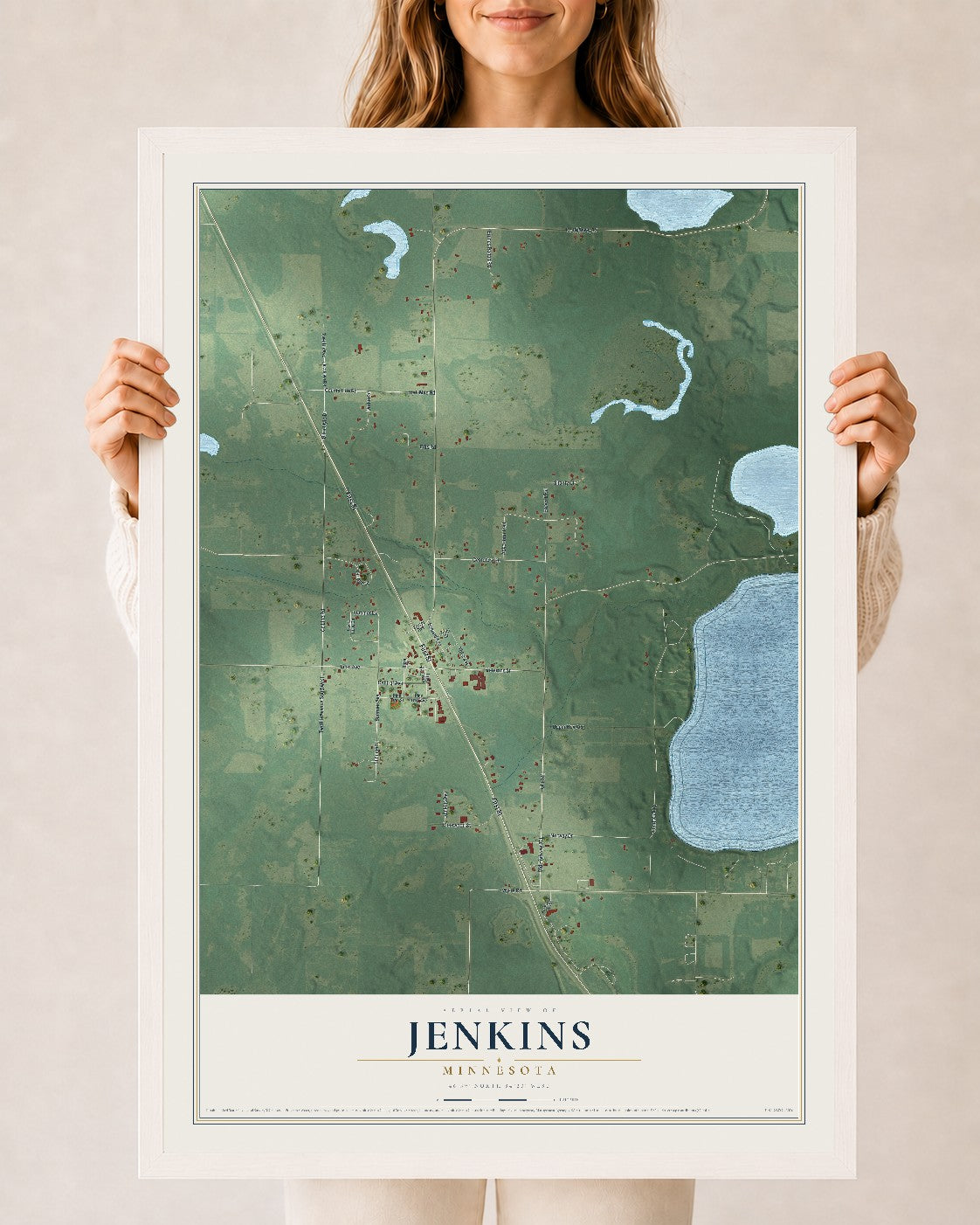 Map of Jenkins, Minnesota, 24 x 36 inch print in a white wood frame
