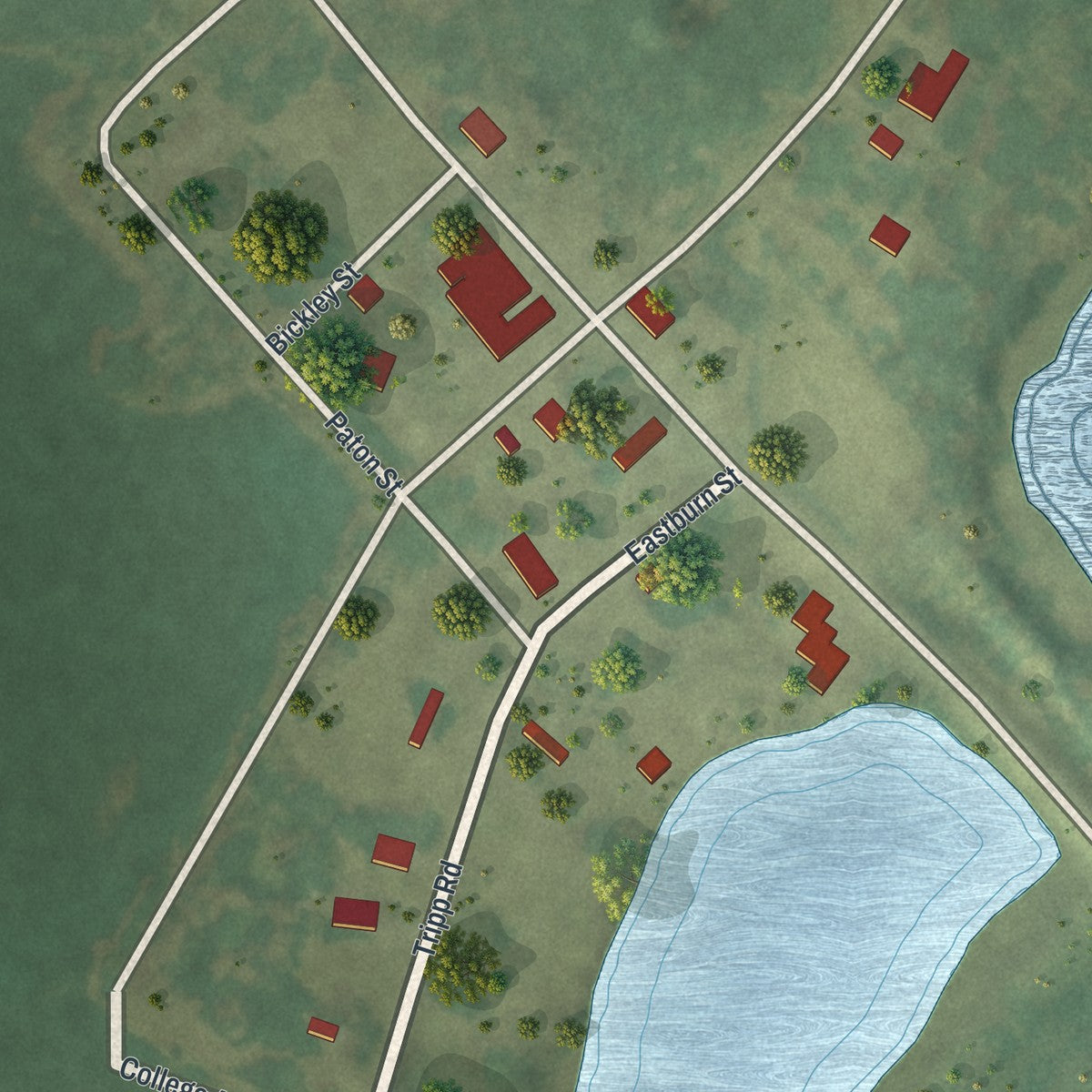 Second close-up of the map of Kinbrae, Minnesota print showing more streets and buildings